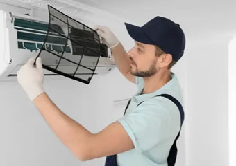 Lorem ipsum dolor sit amet, cons ectetuer 